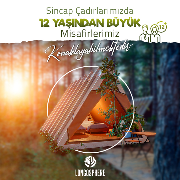 Sosyal Medya